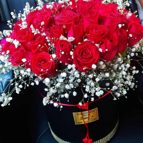 Box XL rosas 24