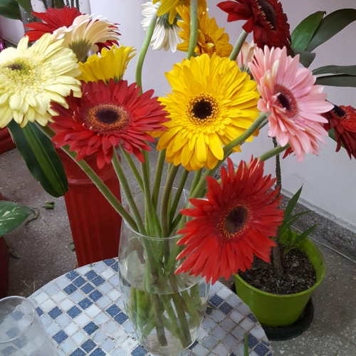 Florero Gerberas